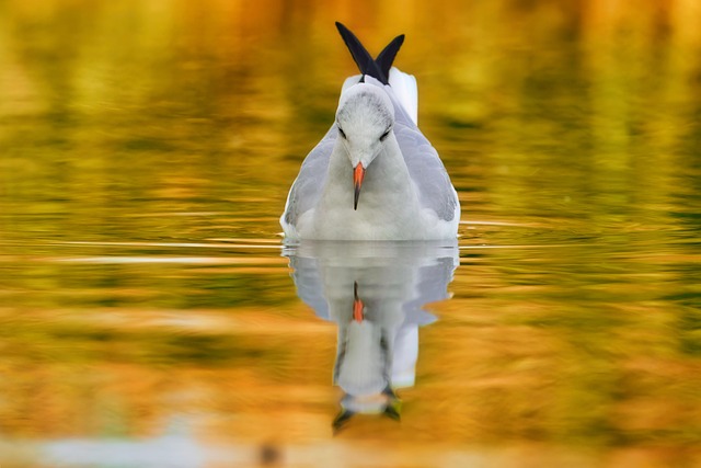 using background images